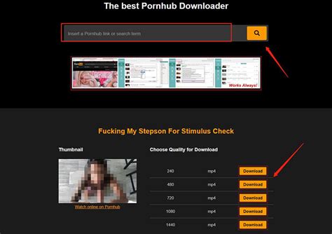 Online PornTN Video Downloader